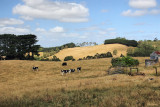 Strzelecki Hills