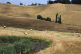Country Hillside