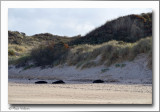 Cap Blanc Nez