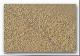 le sable prs de Wissant Cap Blanc Nez