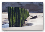 la plage de Wissant - Pas de Calais