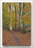 Heverlee Zoete Waters