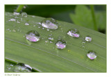 waterdrops