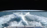 The wake