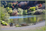 Path over the lake