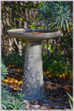 Cute little bird bath