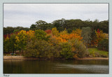 Surrounding the lake