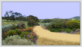 The pathway into the garden.