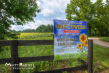 Dr. Wolff's Sunflowers-0007_8_9HDRX_4x6.JPG