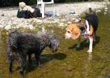 The Ladies at the Moulin des Fermes