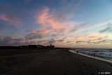Cape Cross - 1DX_1834.jpg