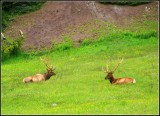 IMG_9786.jpg