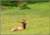 IMG_9787.jpg