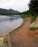 IMG_1337.jpg