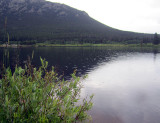 IMG_1346.jpg
