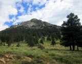 IMG_1386.jpg