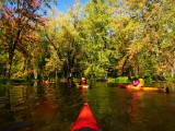 Kayak Beaver Sept 19_2013 12.jpg