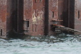 Collingwood Harbour Dry Dock Water Level Nov. 1, 2013 at 1300