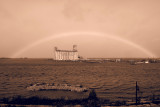 Collingwood Harbour Terminals Rainbow 5