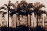 Panama City Nov 12_2013 81.jpg