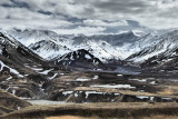 Denali National Park - Alaska 13.jpg