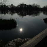 Mill Pond at Addlestone