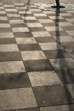 83:365<br>muted paving stones