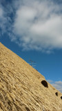 22. newly thatched roof
