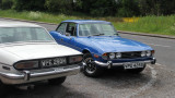 151:365<br>two triumph stags
