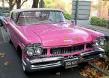 281:365<br>pink mercury monterey