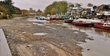 Low tide looking downriver.