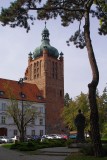 Płock Castle
