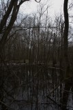 _MG_4555.jpg