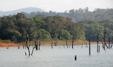 Periyar Wildlife Sanctuary