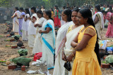 Pongal celebration