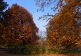 Krasinskich Park, Warsaw