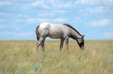 20150719_8281.jpg