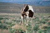 20160506_2843.jpg