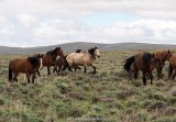 20160517_3527 copy.jpg