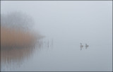 River Brathay morning mist.