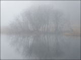 River Brathay mist