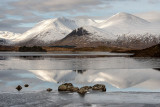 Black mount reflection