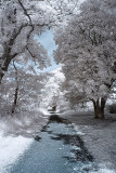 infra_red