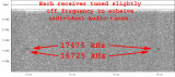 Ditters_16725_17475_06142013_1945.jpg