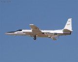 LACAS_022.jpg