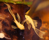 LF_BN_001_161111.jpg