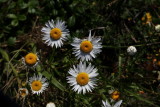 7T0A2676.JPG