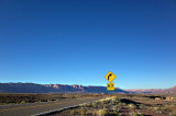R0000584.jpg