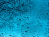 IMG_5199.JPG
