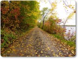 Autumn along the Ottawa River